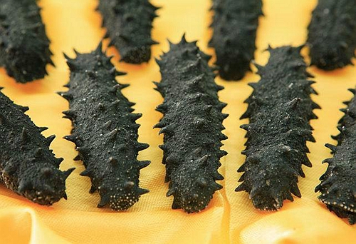 煙臺(tái)海參加工的四種常見(jiàn)加工方法
