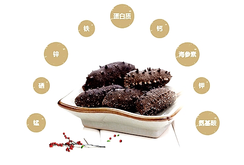煙臺海參批發(fā)之骨片的學問