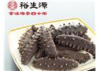 從這三方面辨別海參是否是野生的