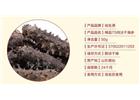 海參的清淡吃法都有那些？